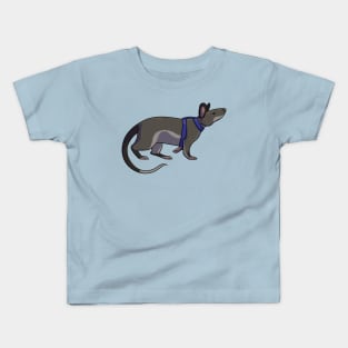 Hero Rat Kids T-Shirt